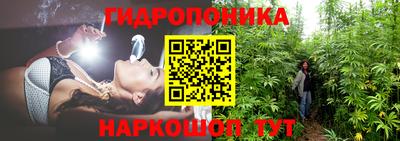 кокс Краснодар