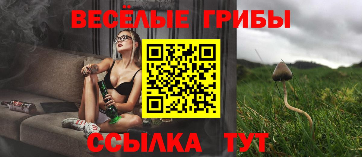 Галлюциногенные грибы Psilocybe  Вход с VPN  Ишимбай  Галлюциногенные грибы ЛСД 